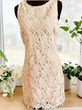 Skies Are Blue Lace Dress Small Sleeveless Sheath Scalloped Hem